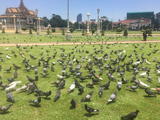 Royal Palace mit den royalen Tauben